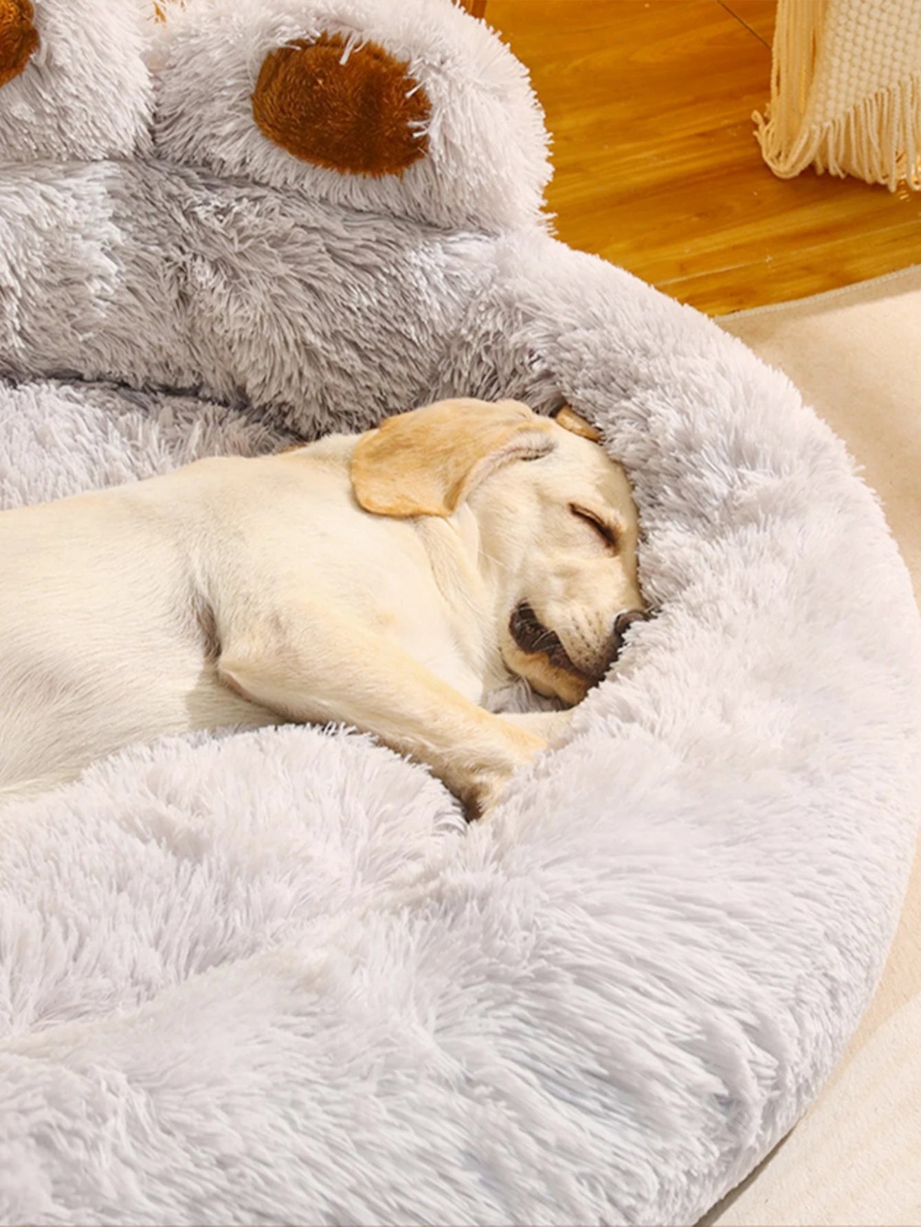 Cama Pet Artist