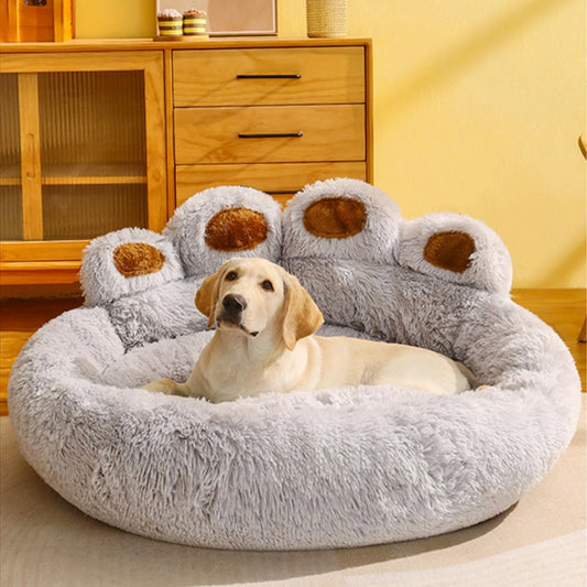 Cama Pet Artist