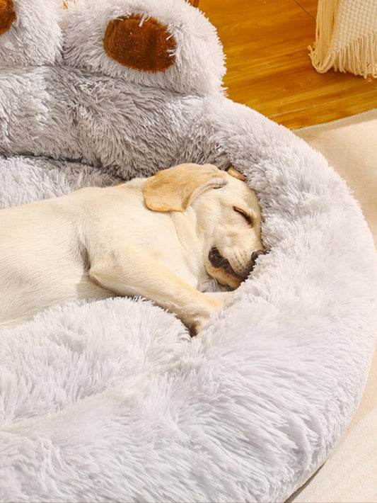 Cama Pet Artist